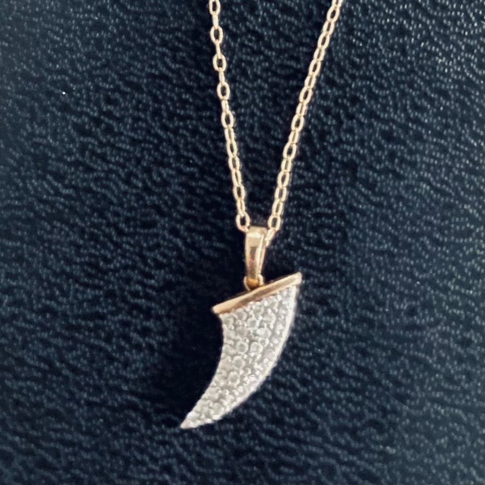14 Karat Gold & Pave Diamond Shark Tooth Necklace